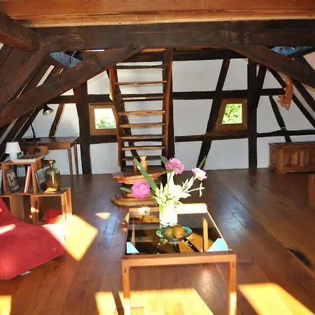 Maison Pittoresque Hermerswiller Extérieur photo